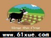 how the cow ate cabbage-